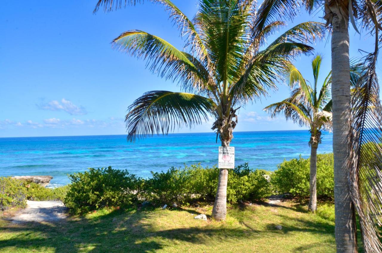 Ar Ocean View Apartments Isla Mujeres Eksteriør billede